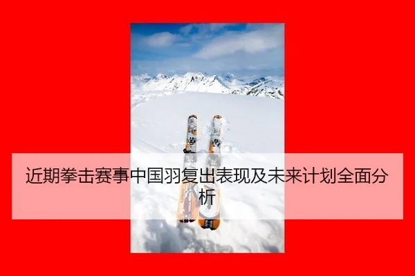 近期拳击赛事中国羽复出表现及未来计划全面分析