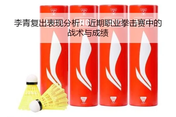 李青复出表现分析：近期职业拳击赛中的战术与成绩