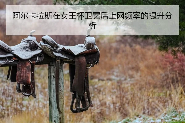 a-er-ka-la-si-zai-nv-wang-bei-wei-mian-hou-shang-wang-pin-lv-de-ti-sheng-fen-xi-2-777.jpg