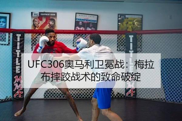 ao-ma-li-wei-mian-zhan-mei-la-bu-shuai-jiao-zhan-shu-de-zhi-ming-po-zhan-3-666.jpg